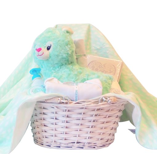 Llama Love Unisex Newborn Hamper 1