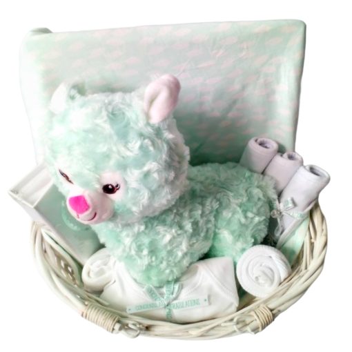 Llama Unisex Boy Girl BibEasy Bibs Baby Hamper top view