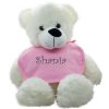 Personalised Teddy BibEasy Bib Gift Set