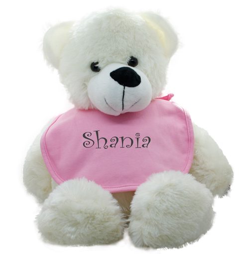 Personalised Teddy BibEasy Bib Gift Set
